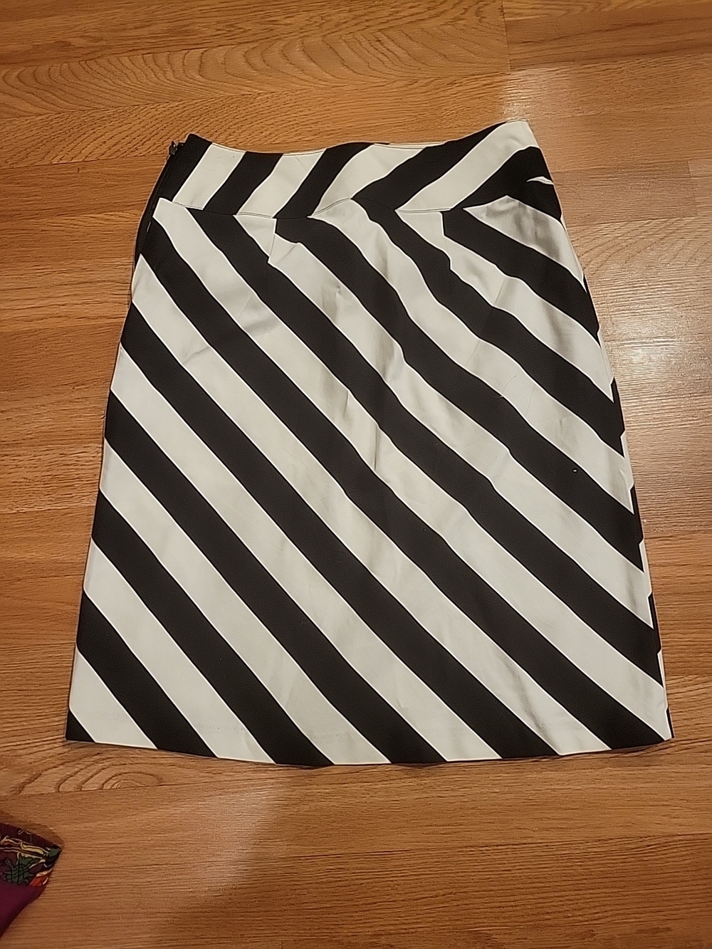 Black & White Diagonal Stripe Women's Skirt
